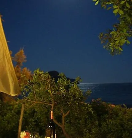 Bed and breakfast Hoppala 3*