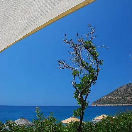 Bed and breakfast Hoppala Datça
