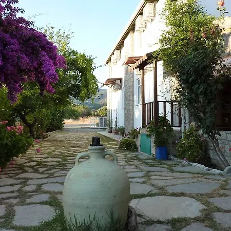 Oda ve Kahvaltı Hoppala 3*