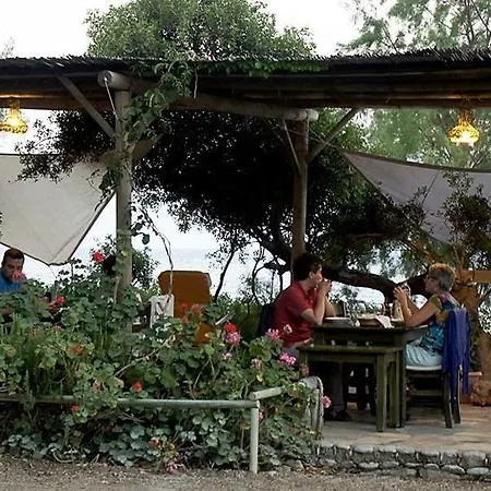 Hoppala ダッチャ