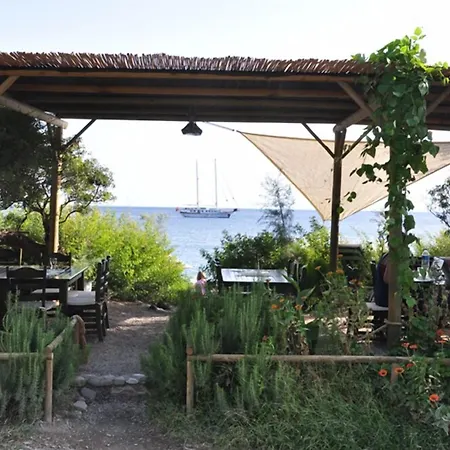 Hoppala ダッチャ