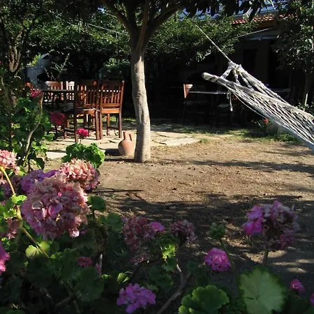Bed & Breakfast Hoppala Datca