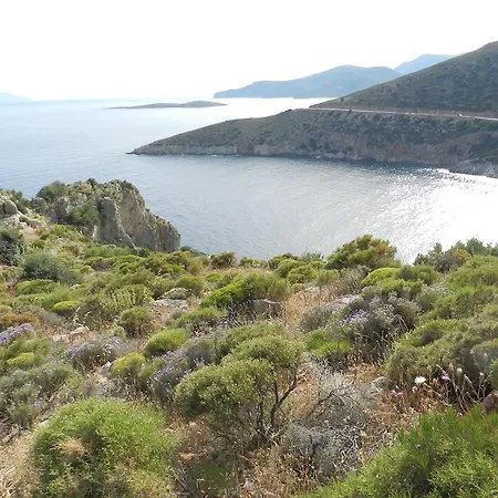 ベッド・アンド・ブレックファスト Hoppala 3*