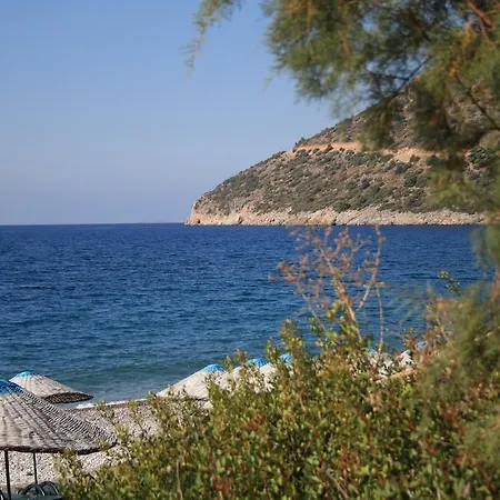 Hoppala ダッチャ